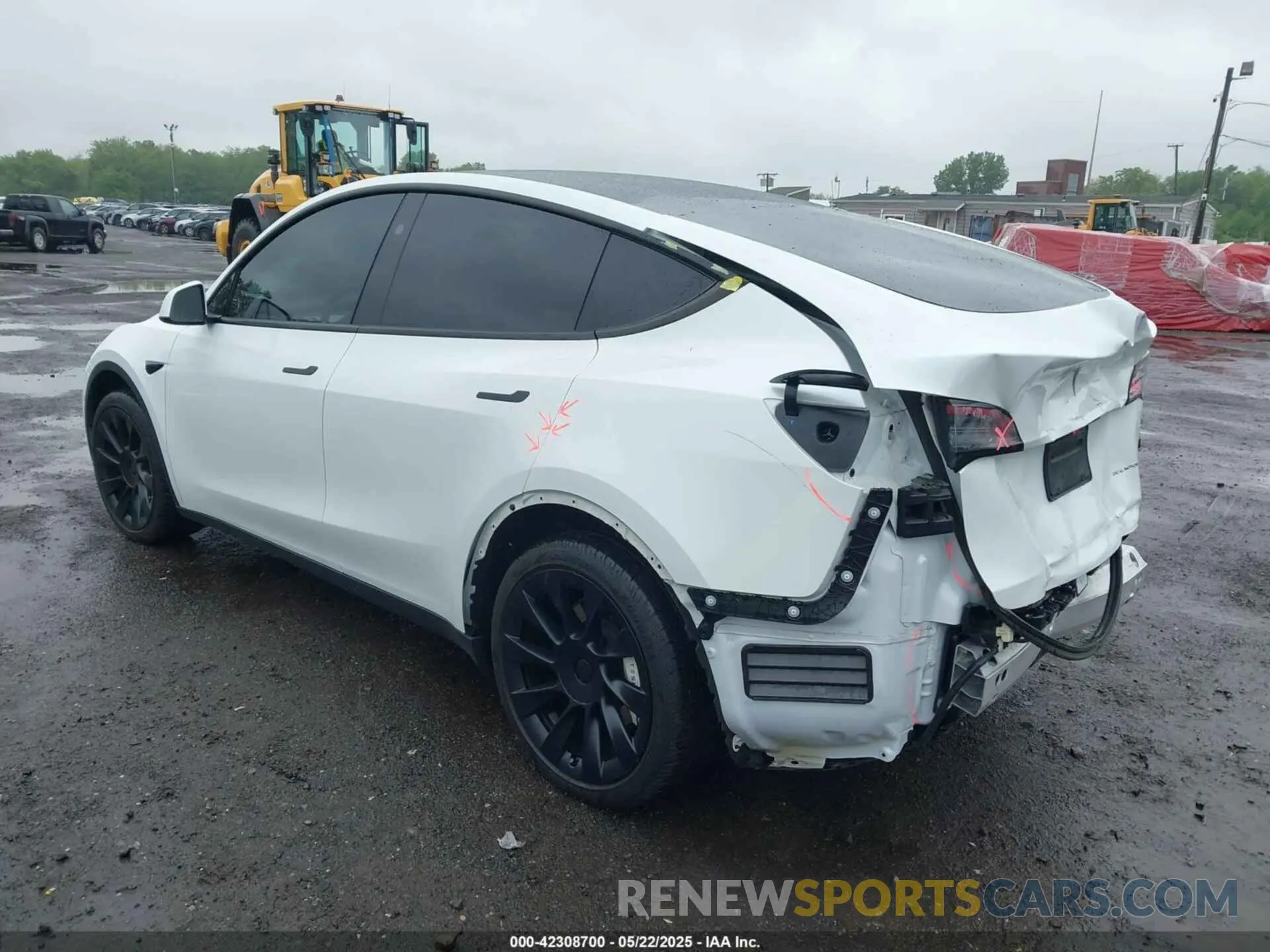 19 Photograph of a damaged car 7SAYGDEE8PA172217 TESLA MODEL Y 2023
