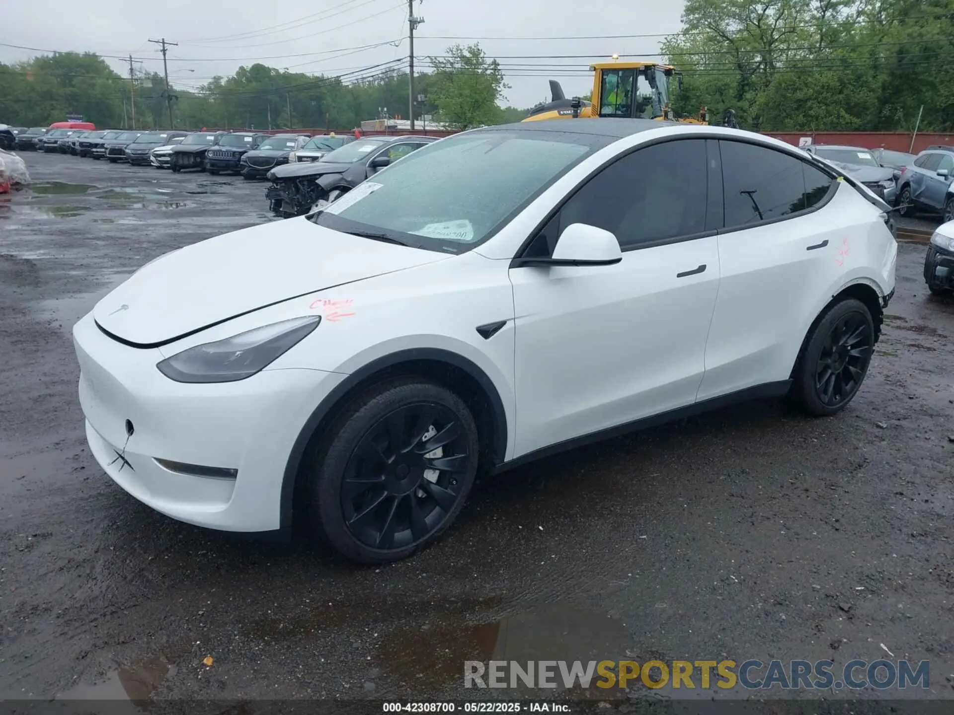 2 Photograph of a damaged car 7SAYGDEE8PA172217 TESLA MODEL Y 2023