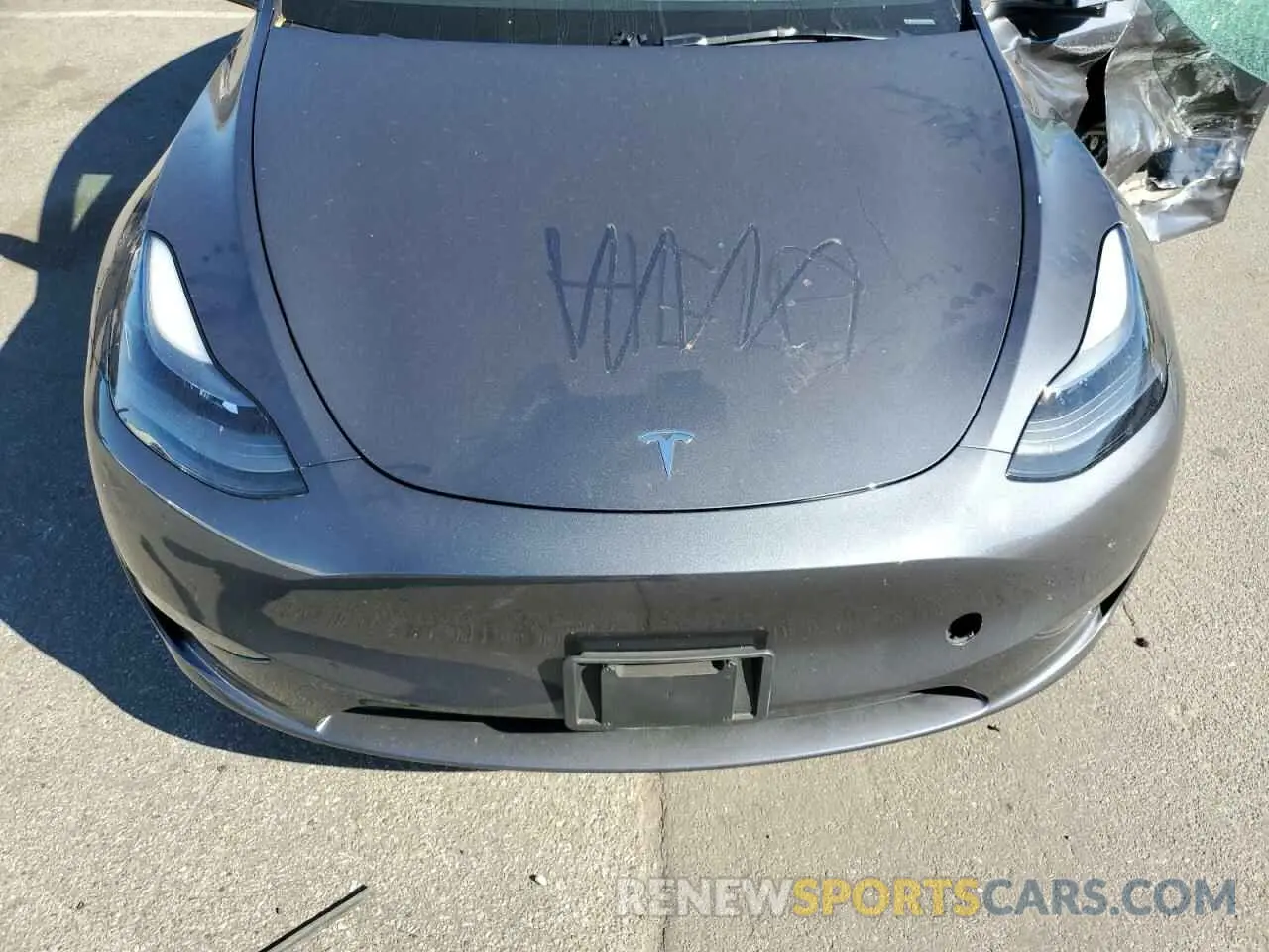 12 Photograph of a damaged car 7SAYGDEE8PA184545 TESLA MODEL Y 2023