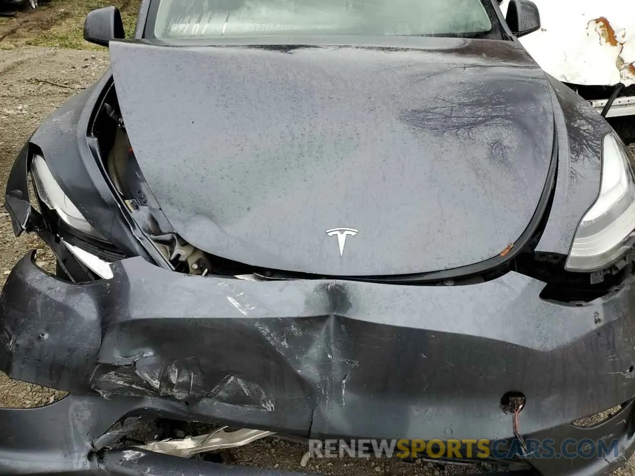 11 Photograph of a damaged car 7SAYGDEE8PF592918 TESLA MODEL Y 2023