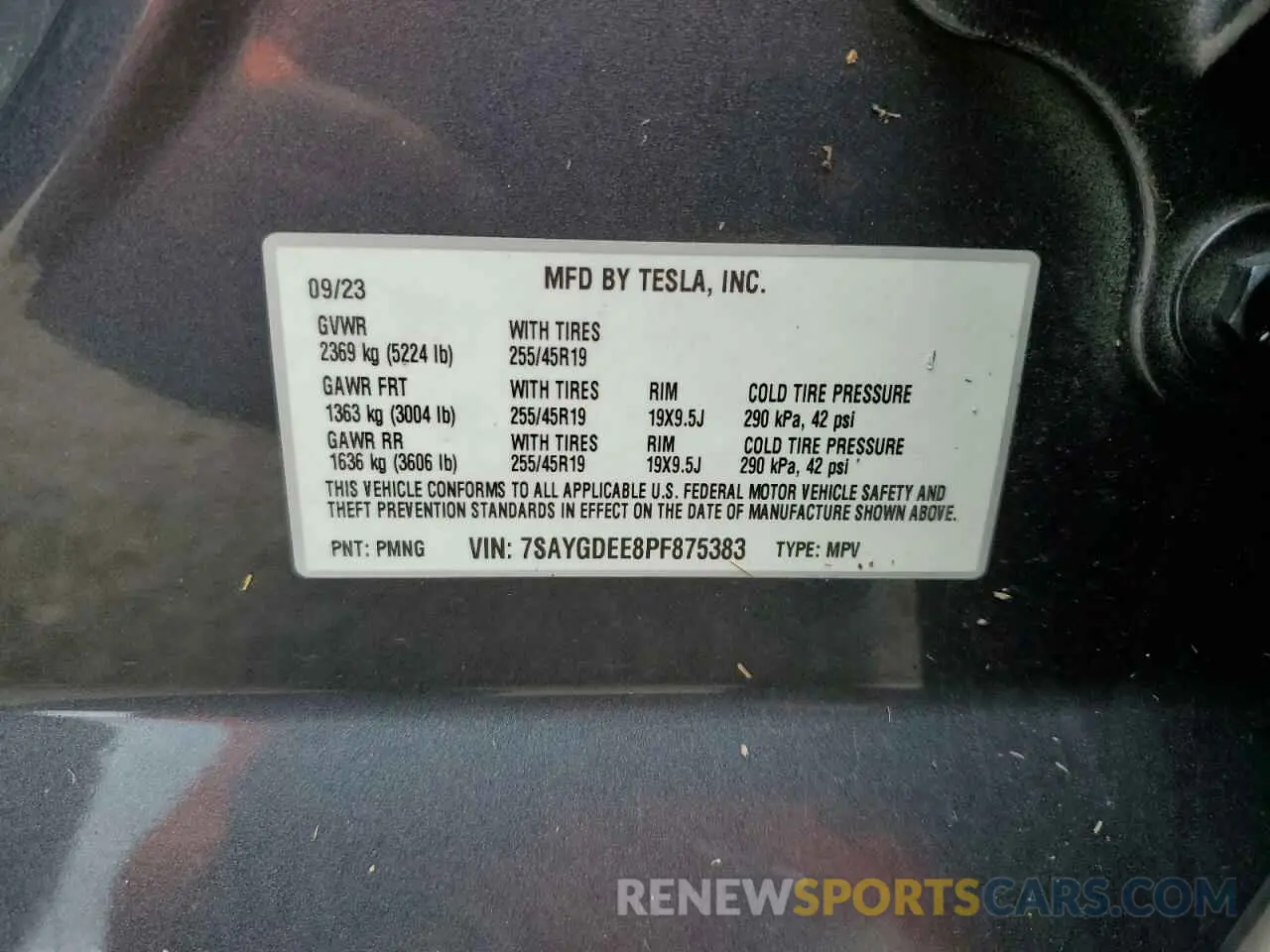 14 Photograph of a damaged car 7SAYGDEE8PF875383 TESLA MODEL Y 2023