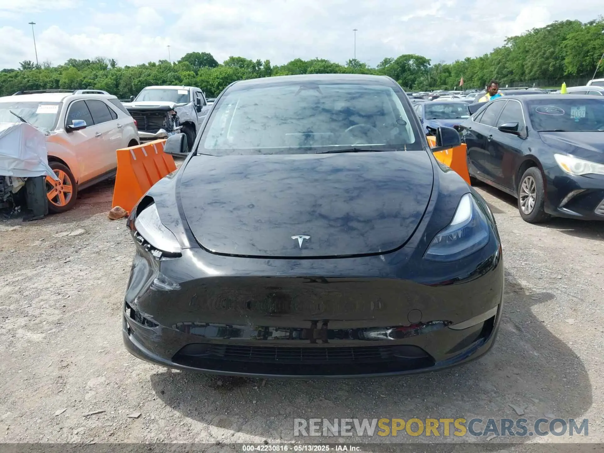 12 Photograph of a damaged car 7SAYGDEE8PF919057 TESLA MODEL Y 2023