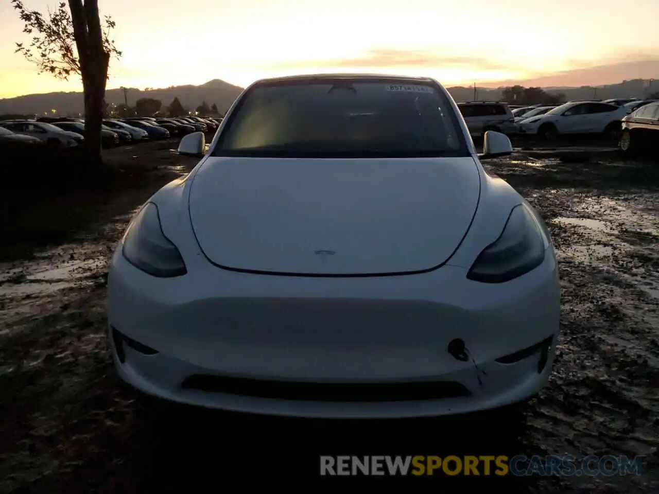 5 Photograph of a damaged car 7SAYGDEE9PA106923 TESLA MODEL Y 2023