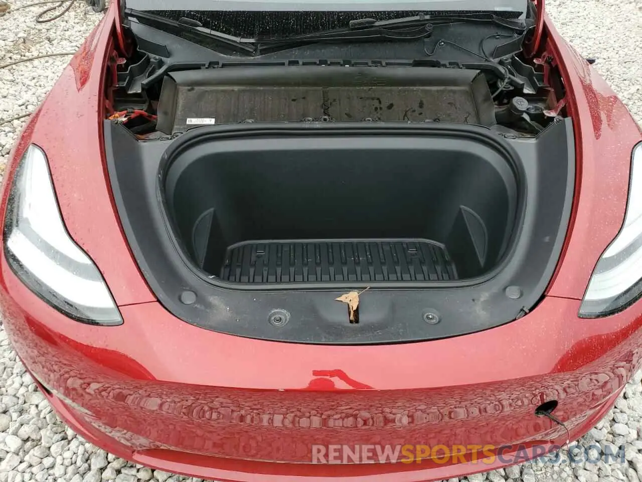 12 Photograph of a damaged car 7SAYGDEEXPA024652 TESLA MODEL Y 2023