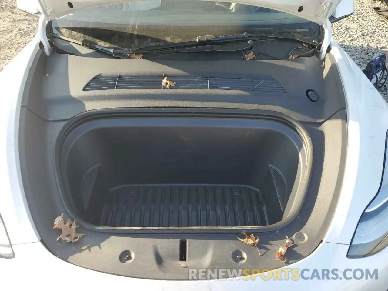 11 Photograph of a damaged car 7SAYGDEEXPA104856 TESLA MODEL Y 2023