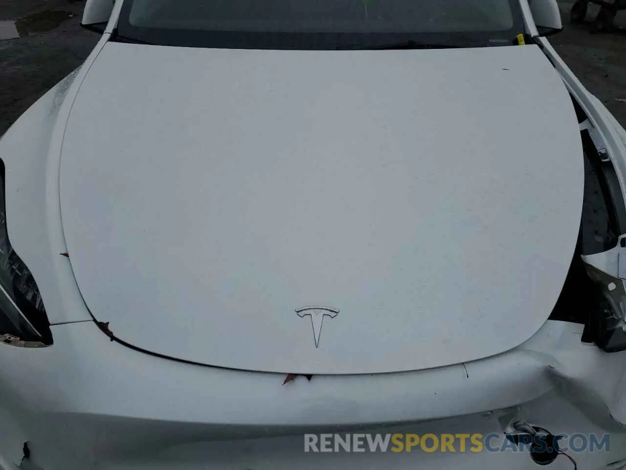 11 Photograph of a damaged car 7SAYGDEEXPA122953 TESLA MODEL Y 2023