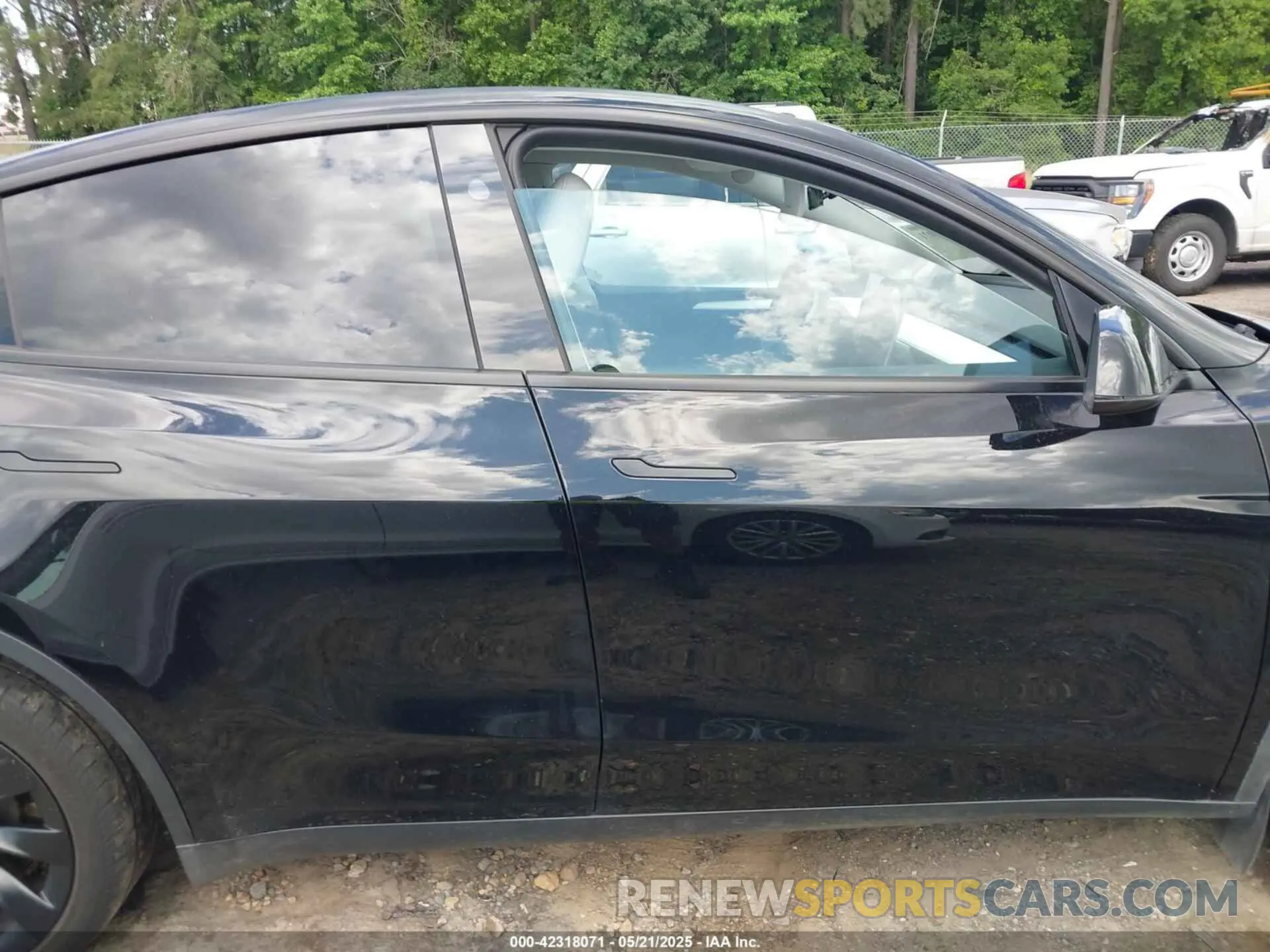 12 Photograph of a damaged car 7SAYGDEEXPA177645 TESLA MODEL Y 2023