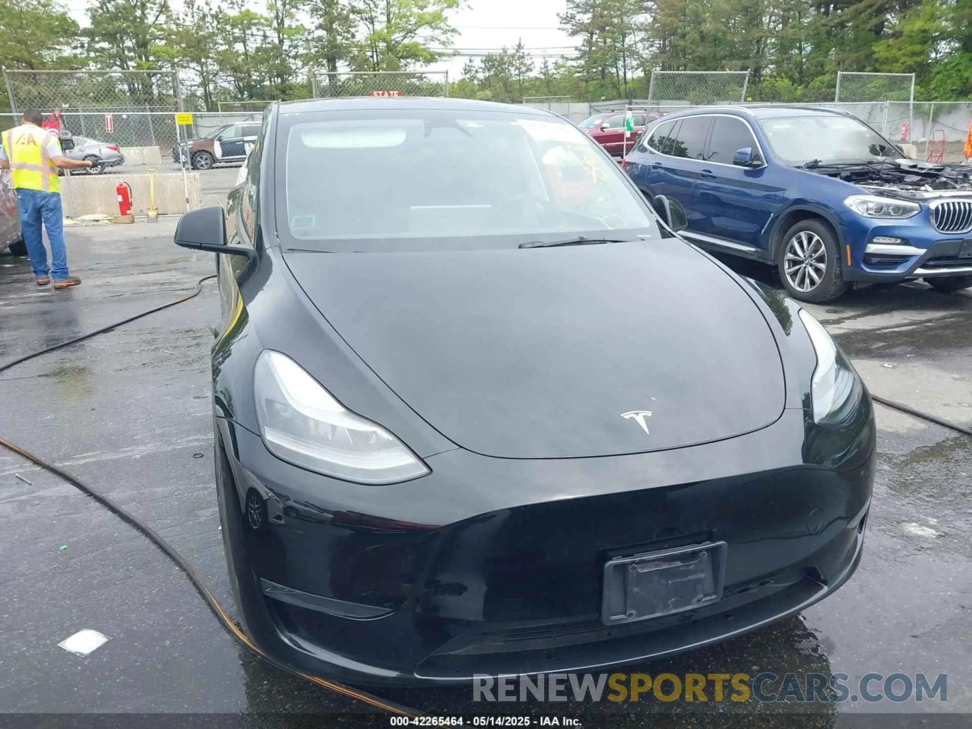 12 Photograph of a damaged car 7SAYGDEEXPA183123 TESLA MODEL Y 2023