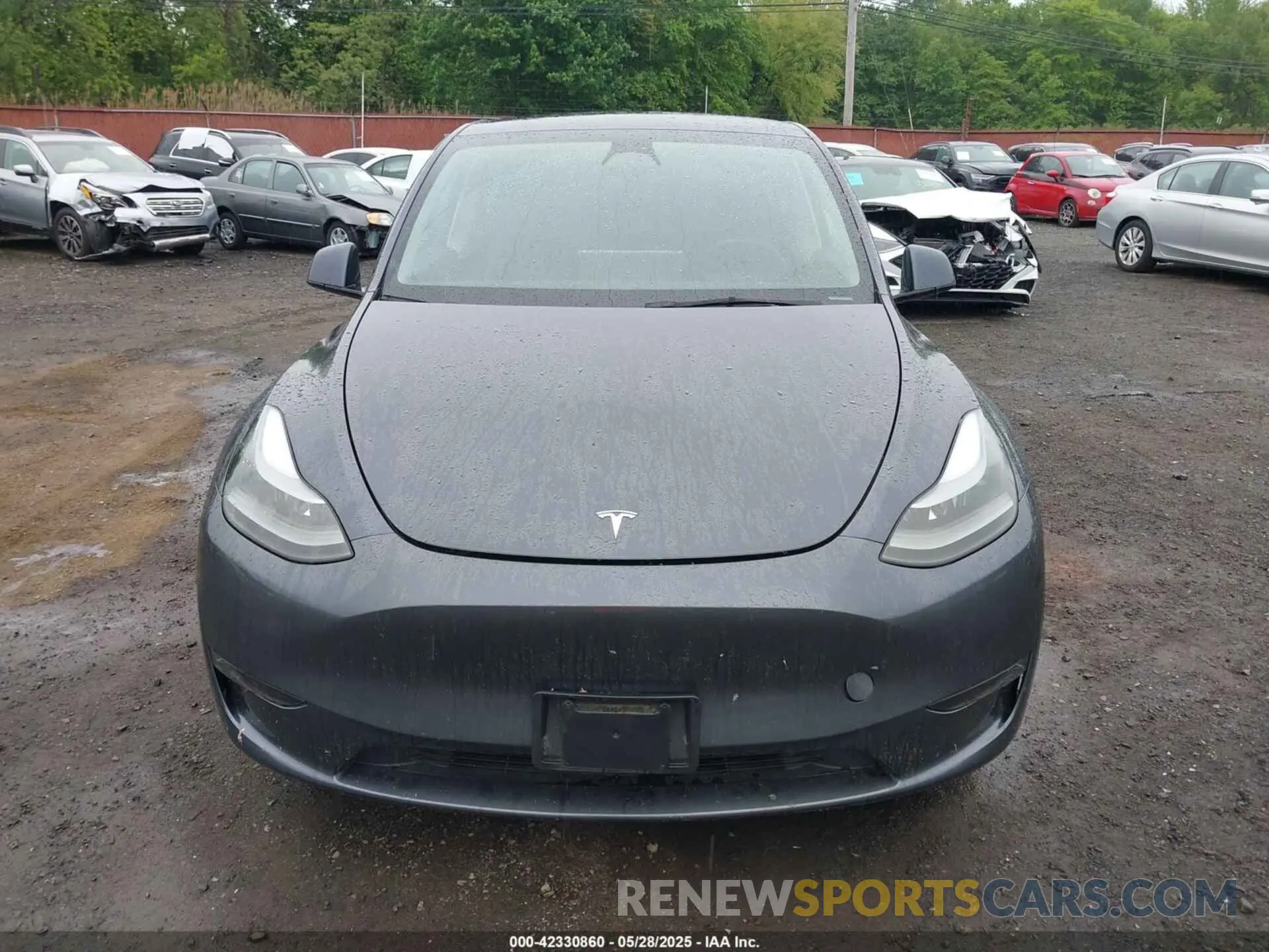12 Photograph of a damaged car 7SAYGDEEXPF699677 TESLA MODEL Y 2023