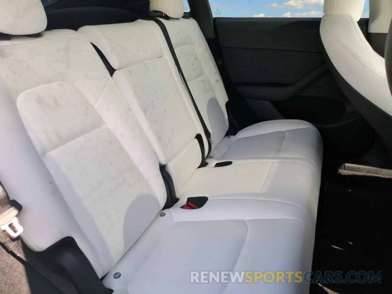 11 Photograph of a damaged car 7SAYGDEF0PF843665 TESLA MODEL Y 2023