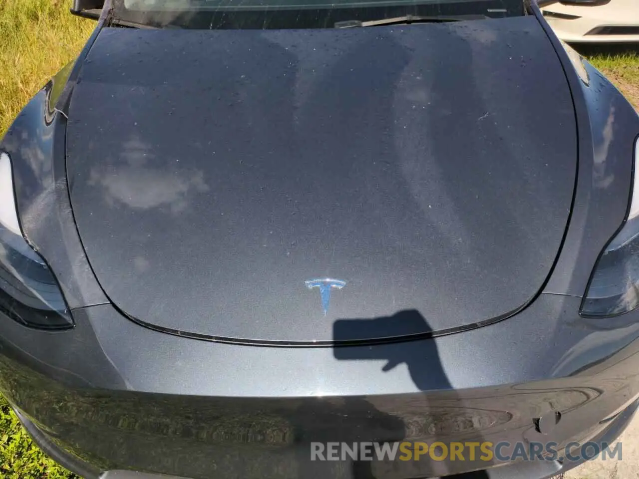 12 Photograph of a damaged car 7SAYGDEF0PF843665 TESLA MODEL Y 2023