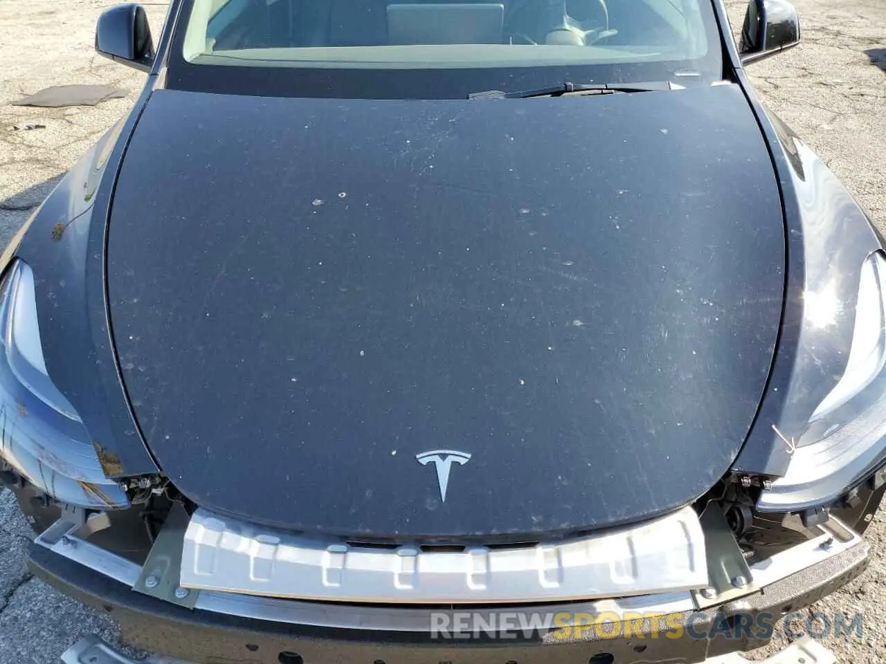 13 Photograph of a damaged car 7SAYGDEF1PF824509 TESLA MODEL Y 2023