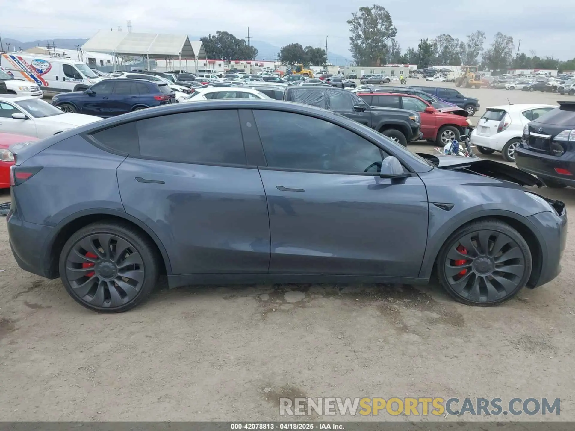 12 Photograph of a damaged car 7SAYGDEF1PF925274 TESLA MODEL Y 2023