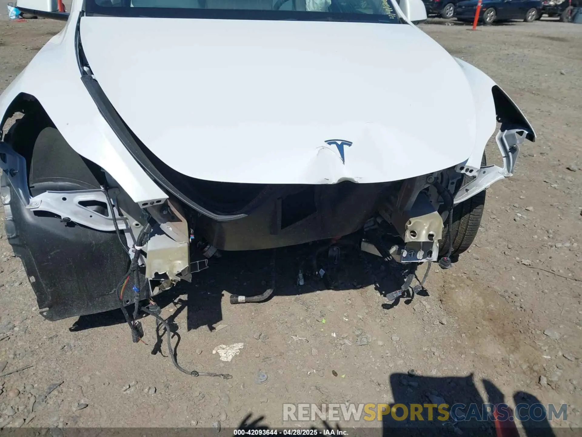 6 Photograph of a damaged car 7SAYGDEF2PF858782 TESLA MODEL Y 2023