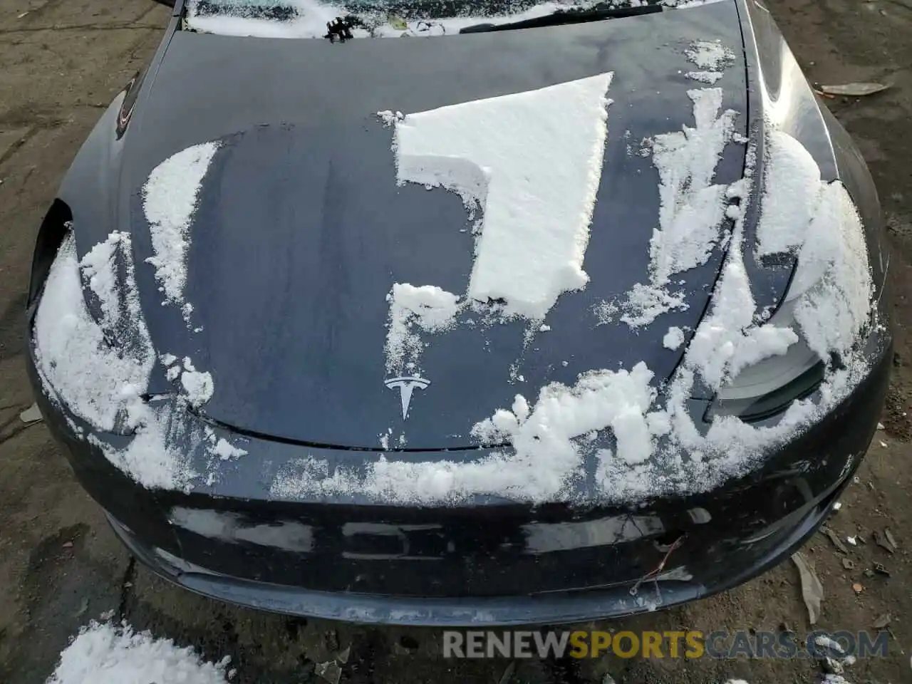 11 Photograph of a damaged car 7SAYGDEF3PF666528 TESLA MODEL Y 2023