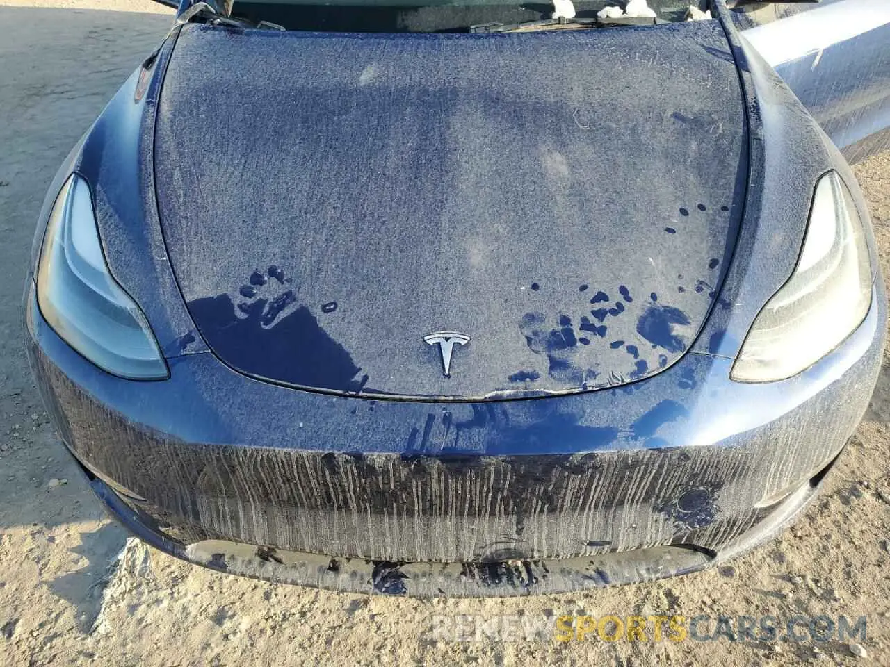 12 Photograph of a damaged car 7SAYGDEF3PF904751 TESLA MODEL Y 2023