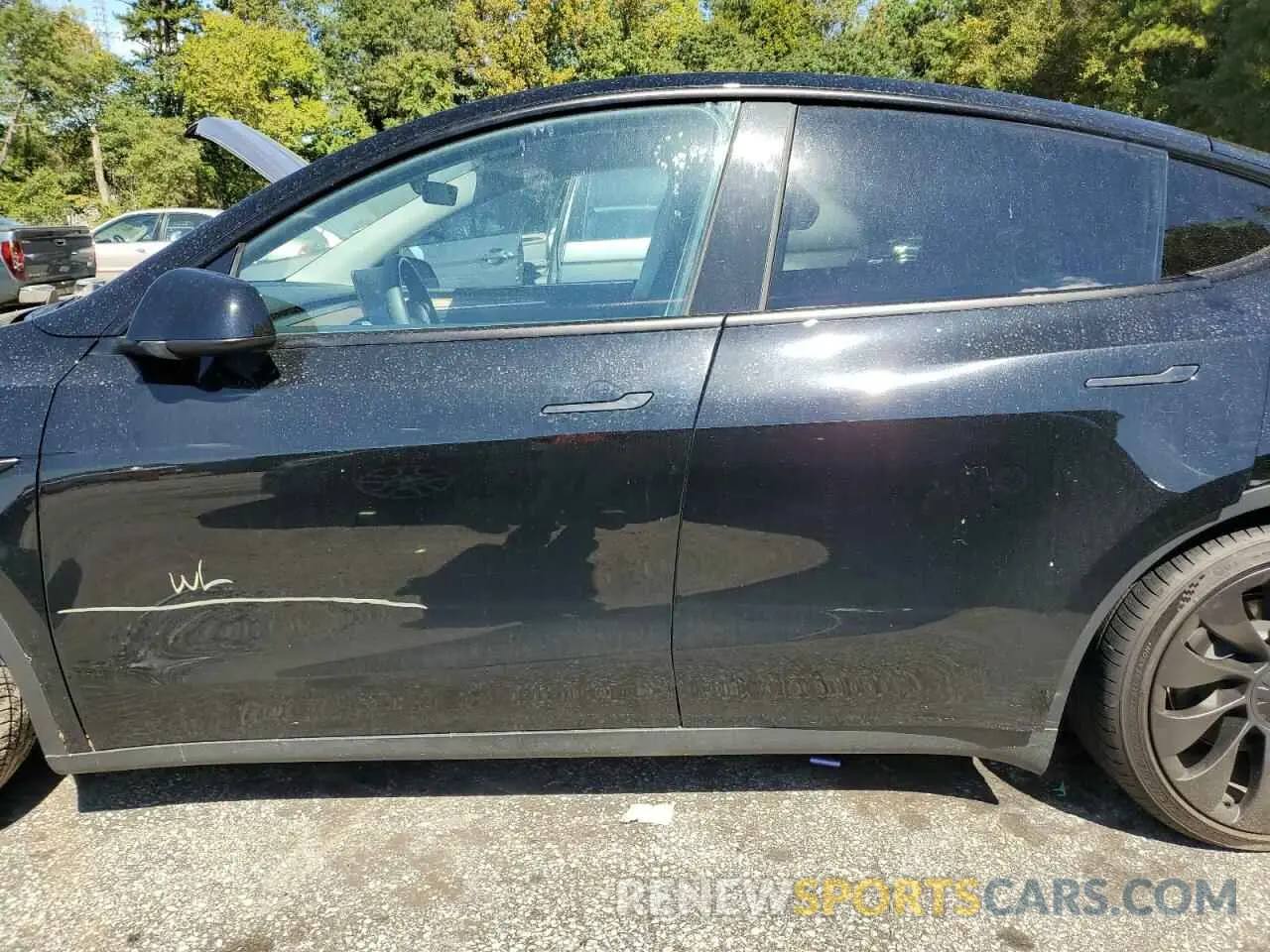 12 Photograph of a damaged car 7SAYGDEF4PF854006 TESLA MODEL Y 2023