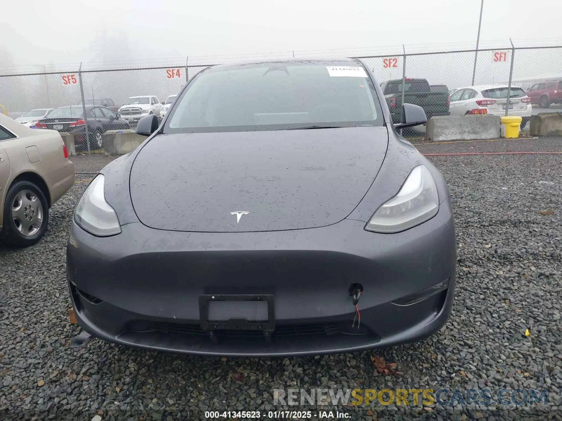 12 Photograph of a damaged car 7SAYGDEF7PF582342 TESLA MODEL Y 2023