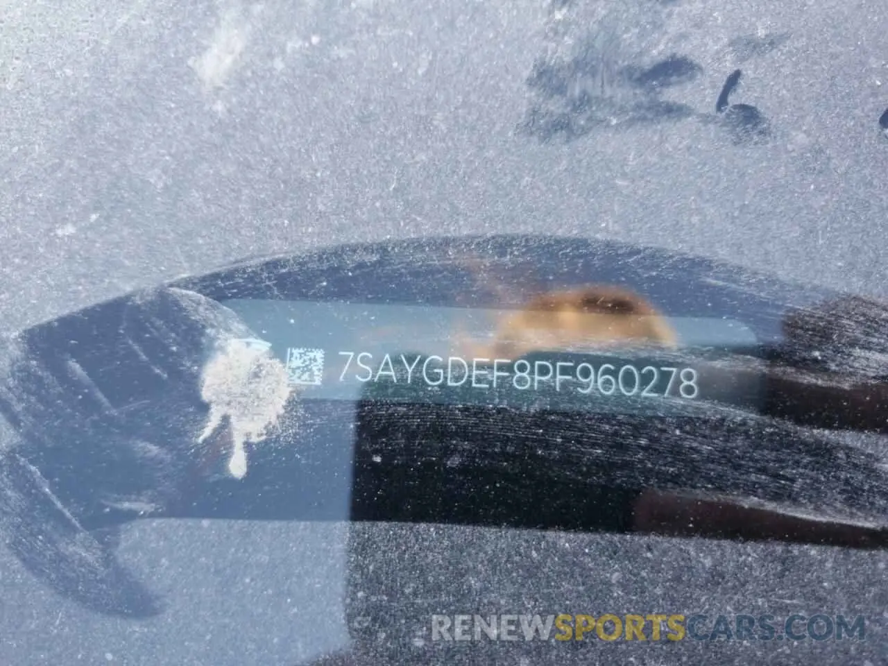 12 Photograph of a damaged car 7SAYGDEF8PF960278 TESLA MODEL Y 2023