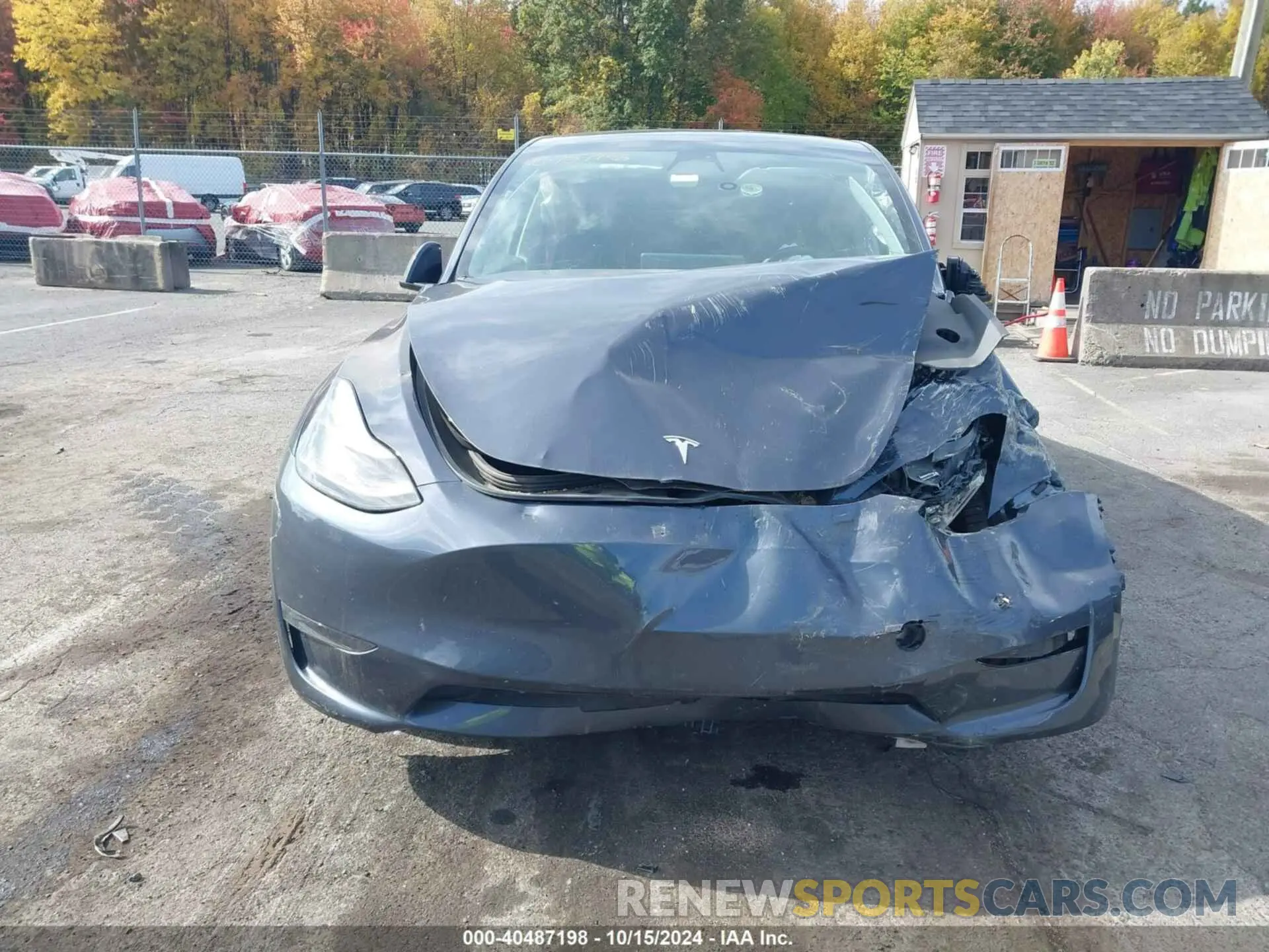 12 Photograph of a damaged car 7SAYGDEF9PF588806 TESLA MODEL Y 2023