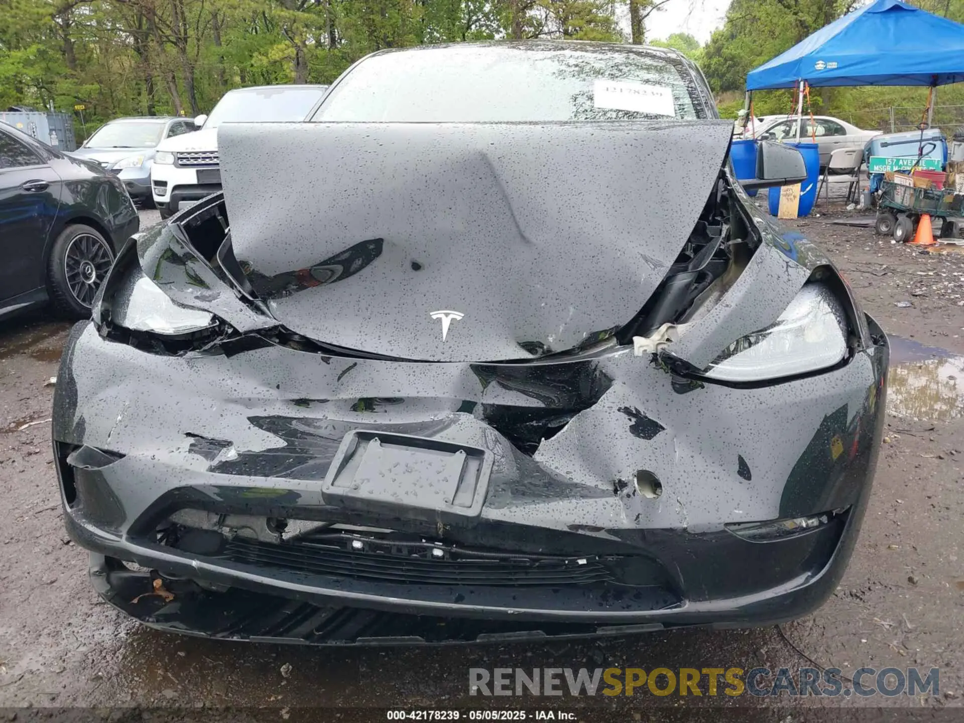 12 Photograph of a damaged car 7SAYGDEF9PF838514 TESLA MODEL Y 2023