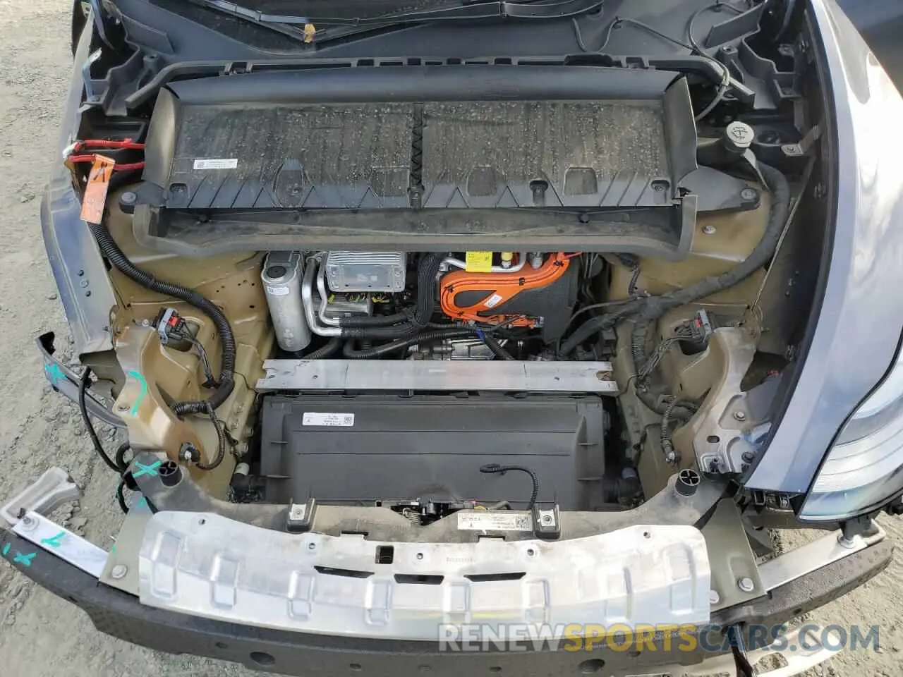 12 Photograph of a damaged car 7SAYGDEFXPF850123 TESLA MODEL Y 2023