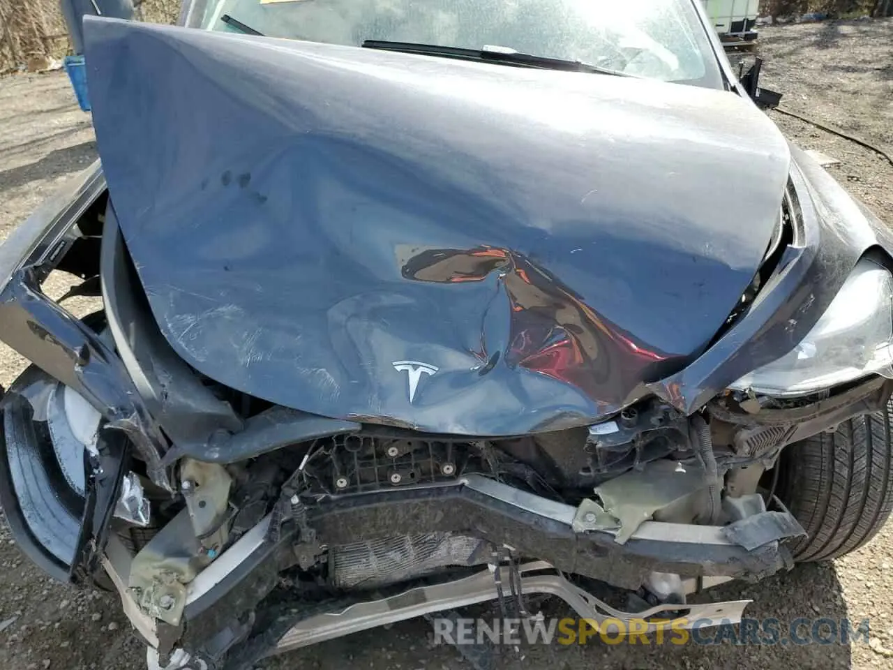 11 Photograph of a damaged car LRWYGDEE4PC162715 TESLA MODEL Y 2023