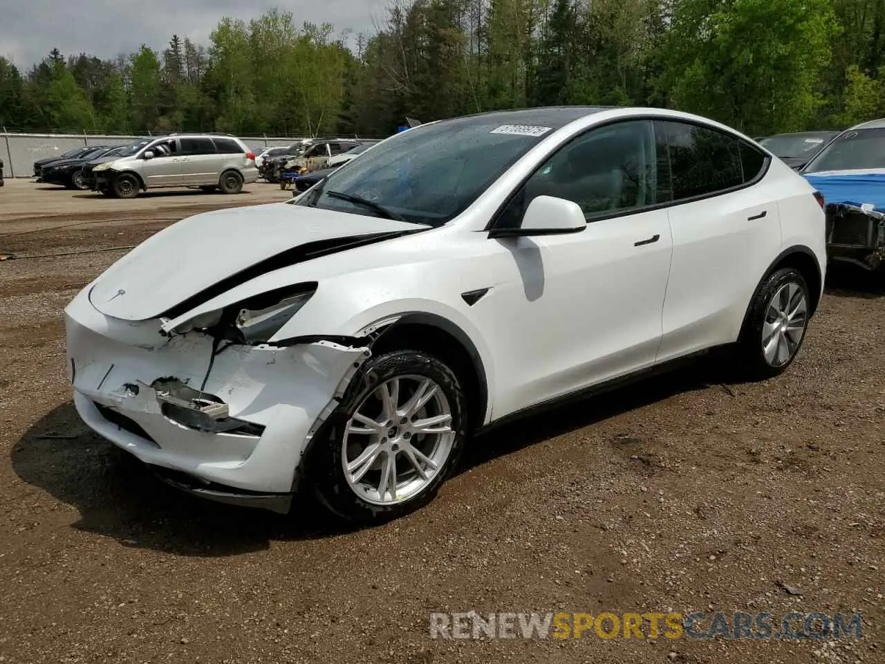 1 Photograph of a damaged car LRWYGDEE5PC266209 TESLA MODEL Y 2023