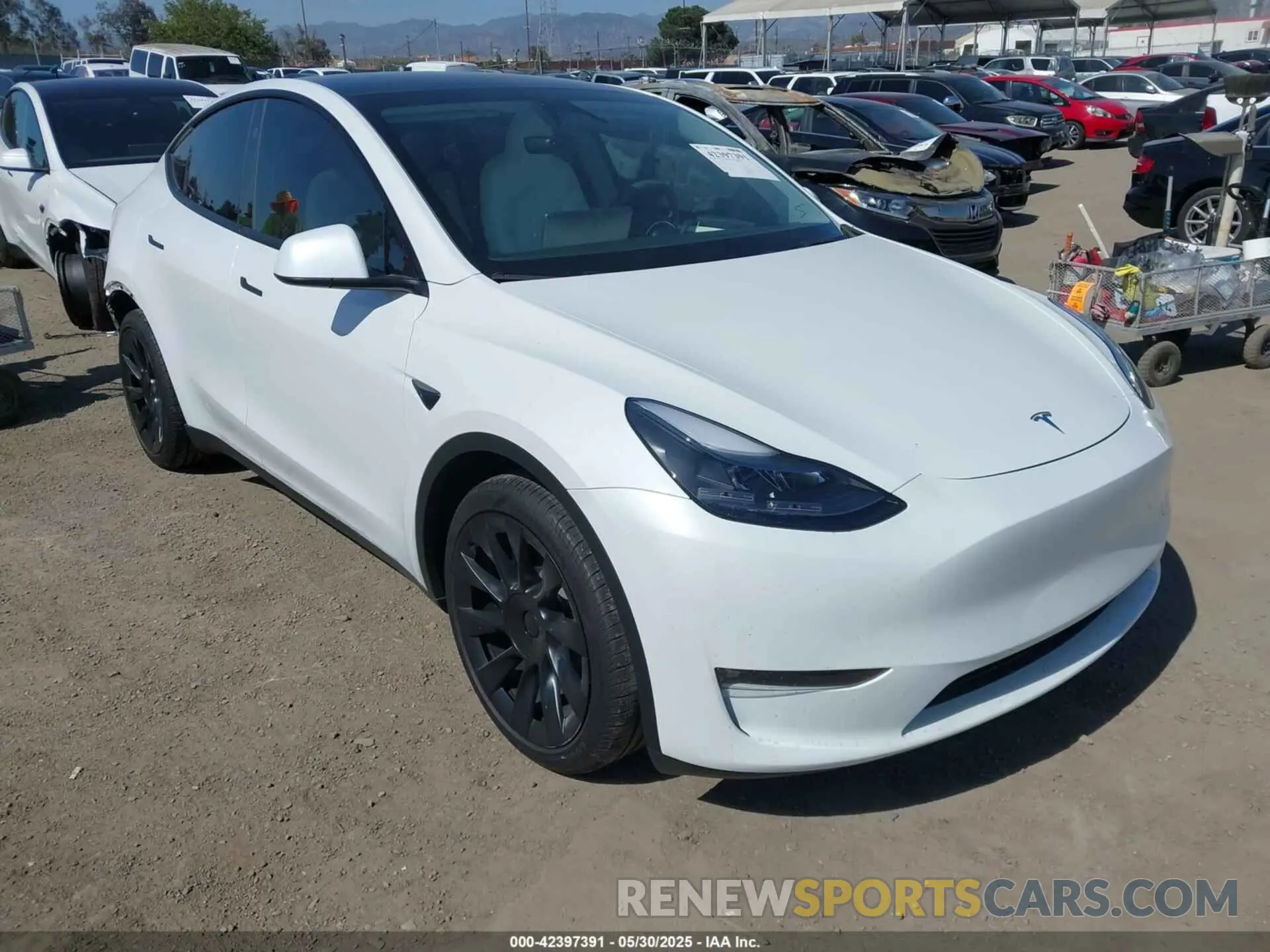 1 Photograph of a damaged car 7SAYGAEE1RF165825 TESLA MODEL Y 2024