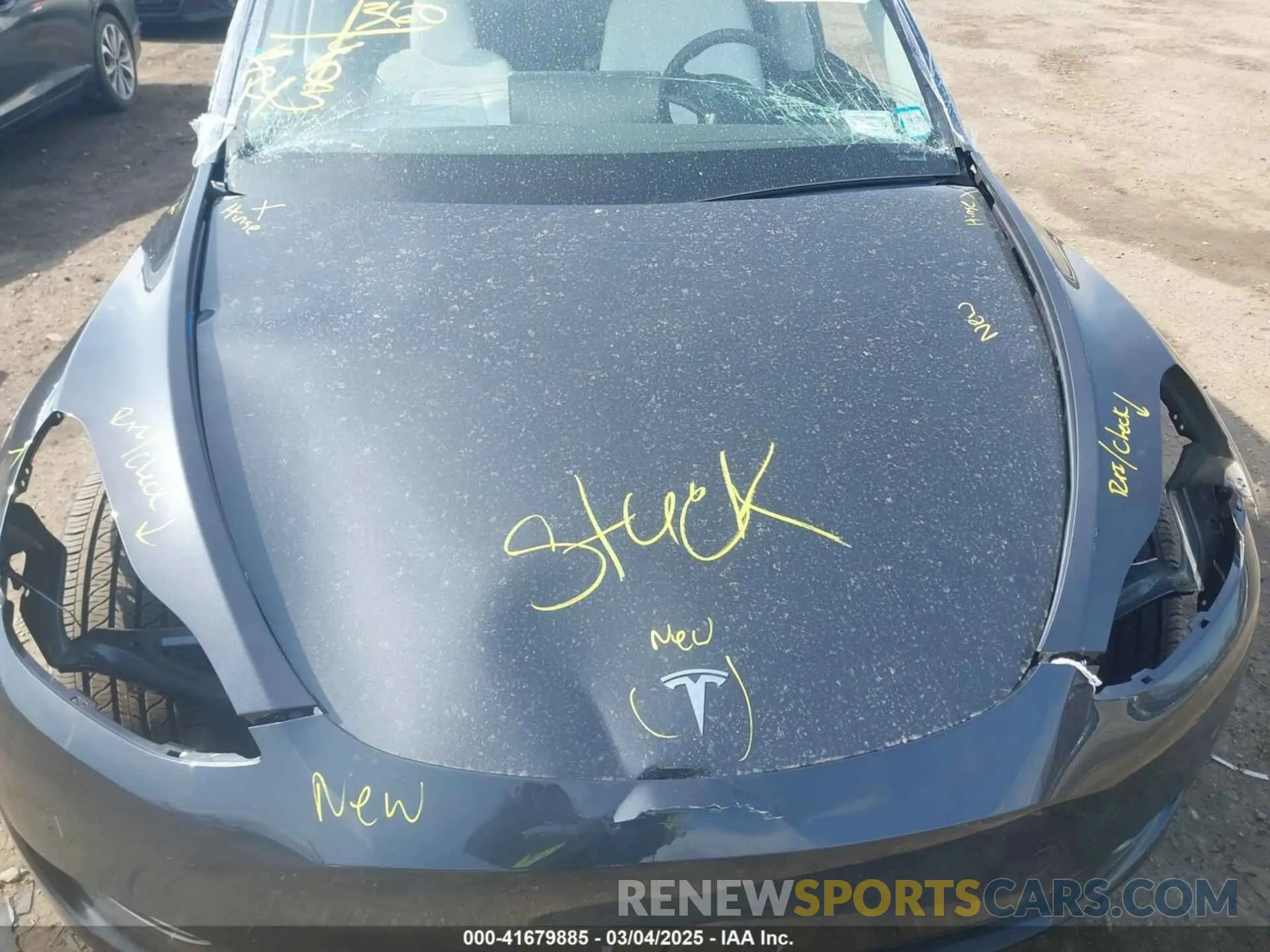 16 Photograph of a damaged car 7SAYGAEE2RF178437 TESLA MODEL Y 2024