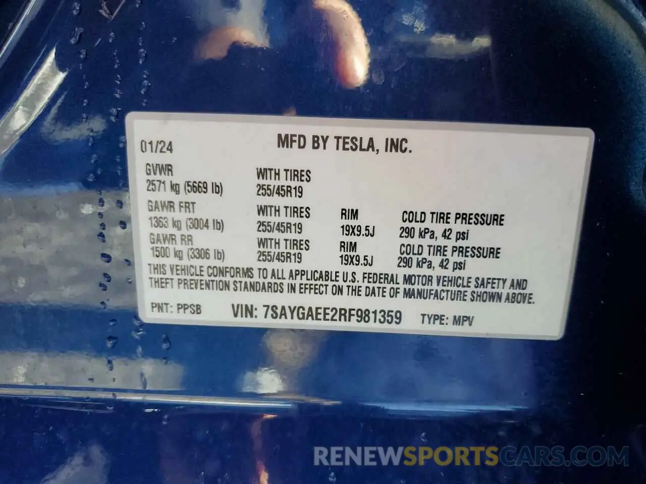 14 Photograph of a damaged car 7SAYGAEE2RF981359 TESLA MODEL Y 2024