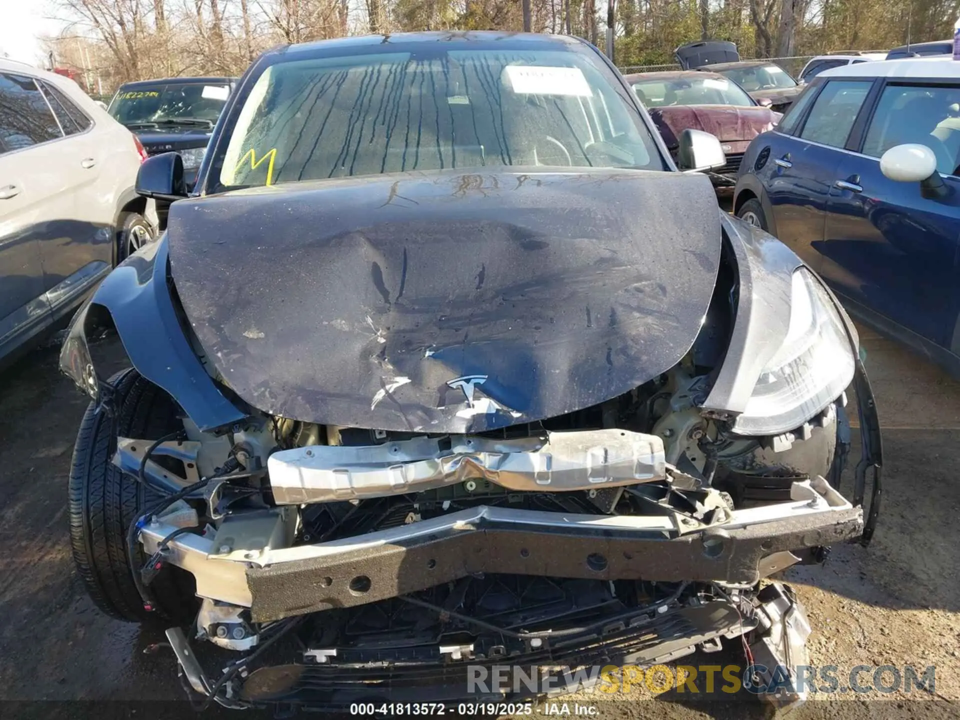 12 Photograph of a damaged car 7SAYGAEE5RF127224 TESLA MODEL Y 2024