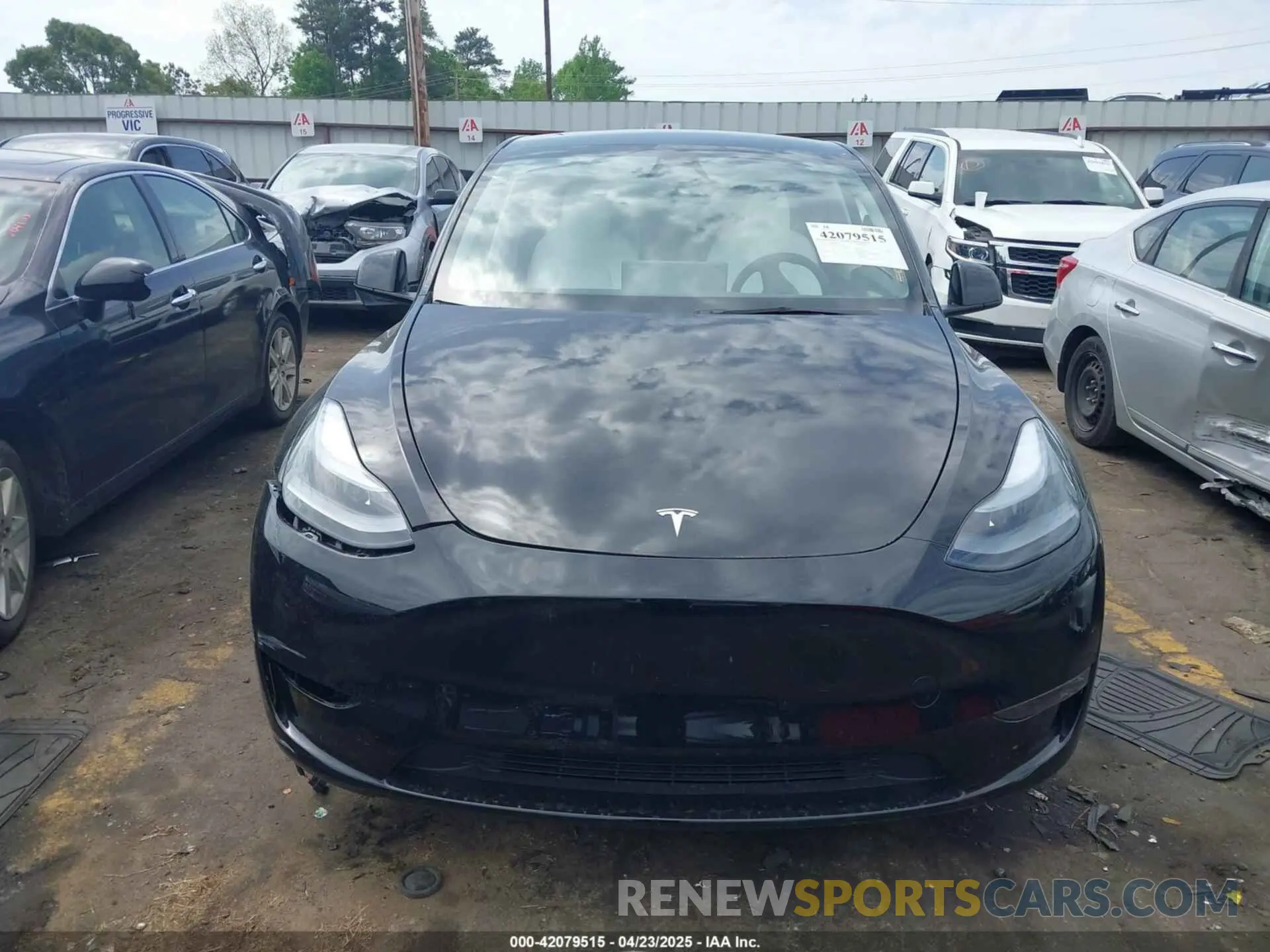 11 Photograph of a damaged car 7SAYGAEE5RF186418 TESLA MODEL Y 2024