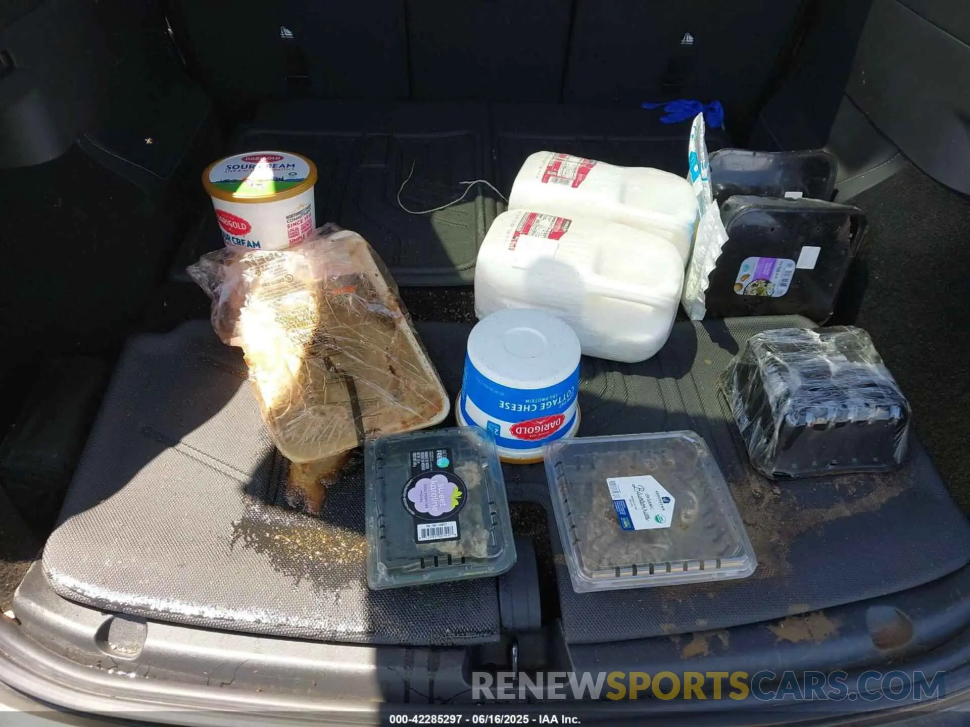 12 Photograph of a damaged car 7SAYGAEE7RF122946 TESLA MODEL Y 2024