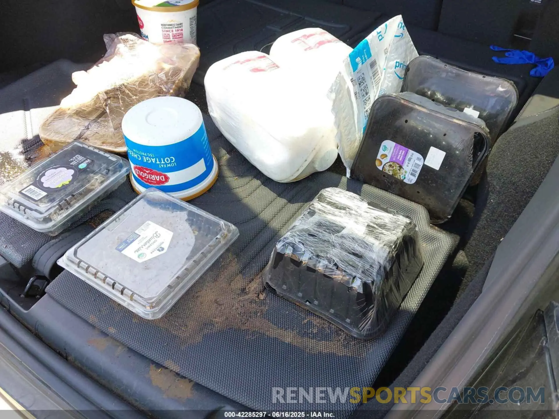 14 Photograph of a damaged car 7SAYGAEE7RF122946 TESLA MODEL Y 2024