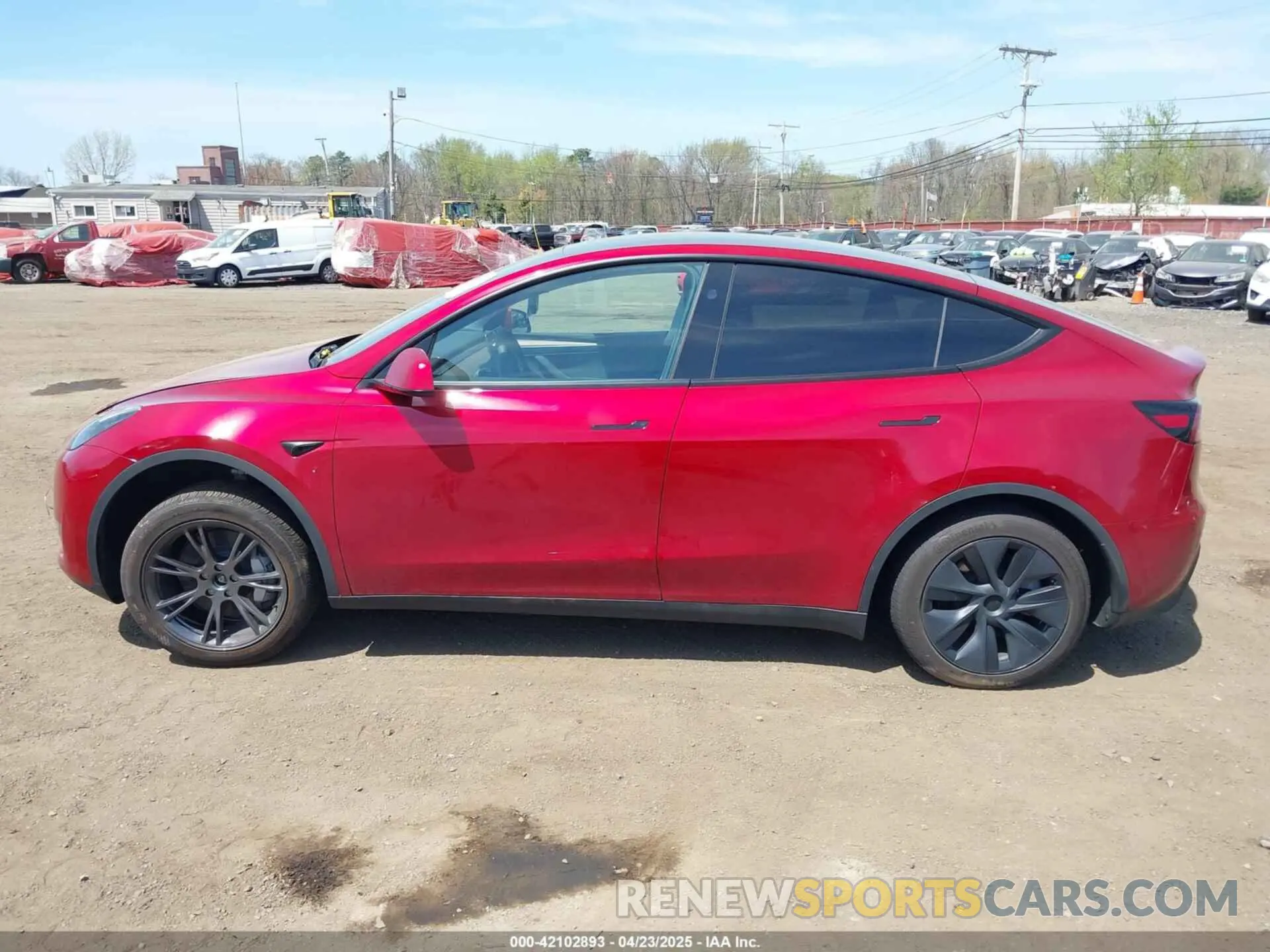 14 Photograph of a damaged car 7SAYGAEE7RF167448 TESLA MODEL Y 2024