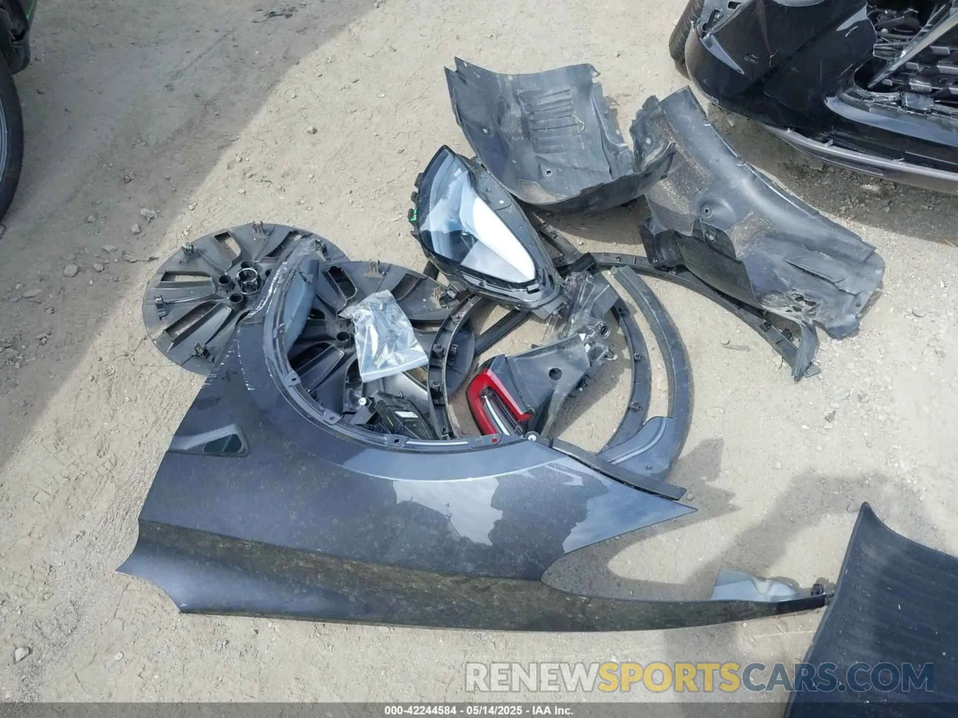 12 Photograph of a damaged car 7SAYGAEE8RF198904 TESLA MODEL Y 2024