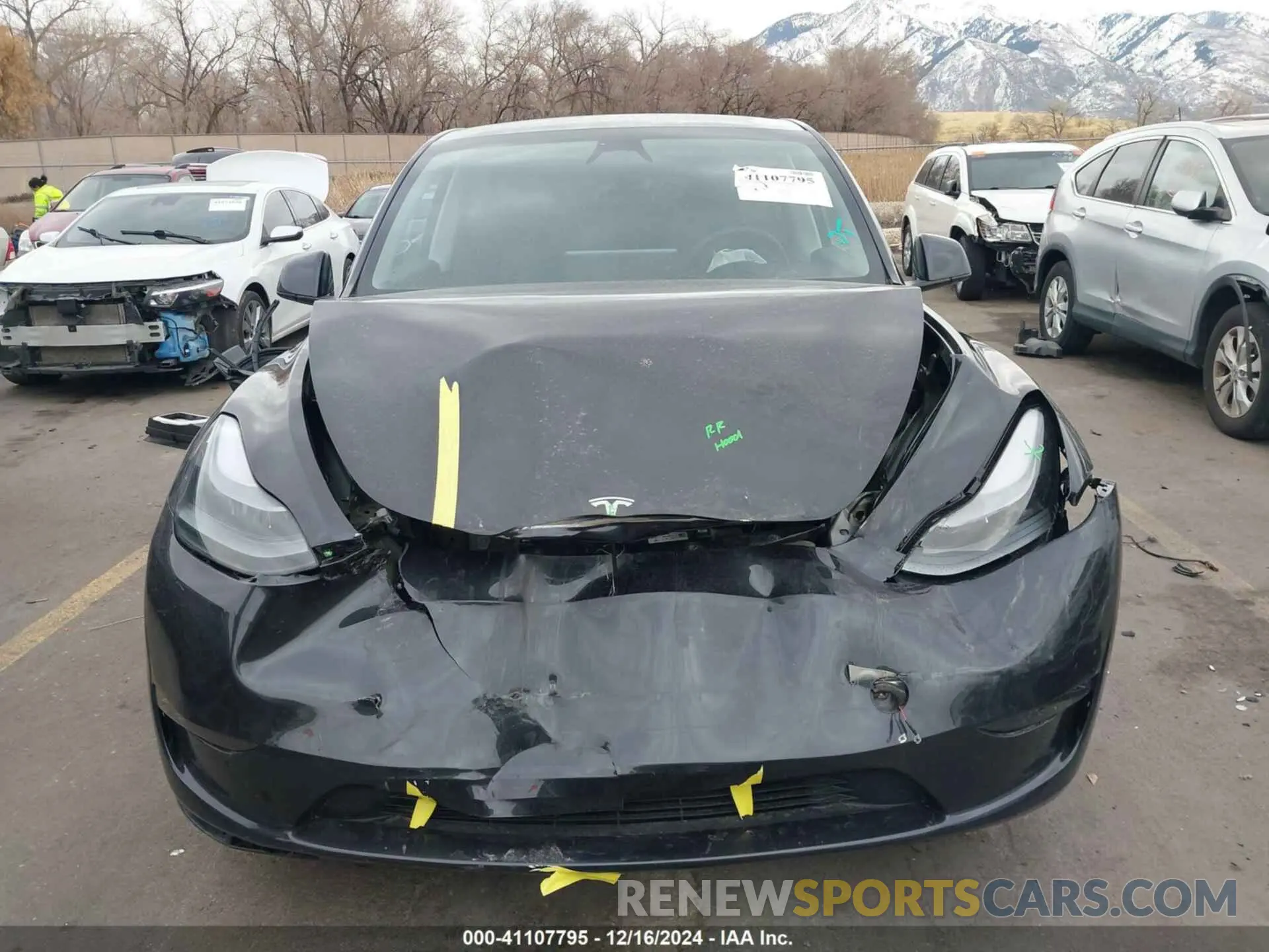 13 Photograph of a damaged car 7SAYGAEE8RF210386 TESLA MODEL Y 2024