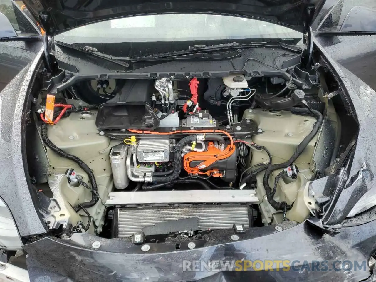 11 Photograph of a damaged car 7SAYGDED1RA303983 TESLA MODEL Y 2024