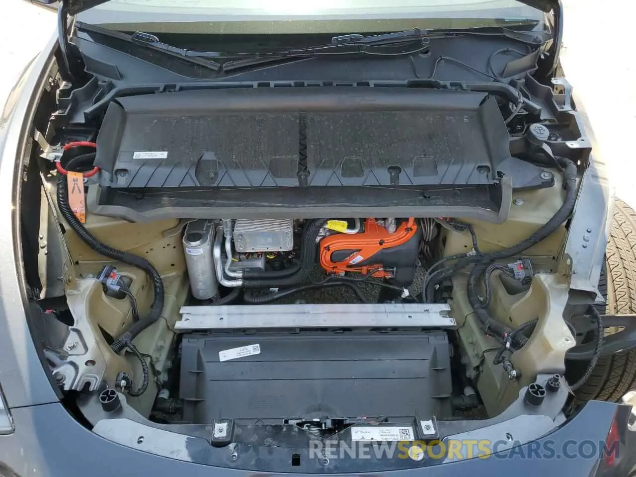 12 Photograph of a damaged car 7SAYGDED1RF046035 TESLA MODEL Y 2024