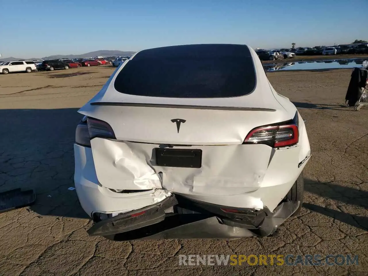 6 Photograph of a damaged car 7SAYGDED1RF154851 TESLA MODEL Y 2024