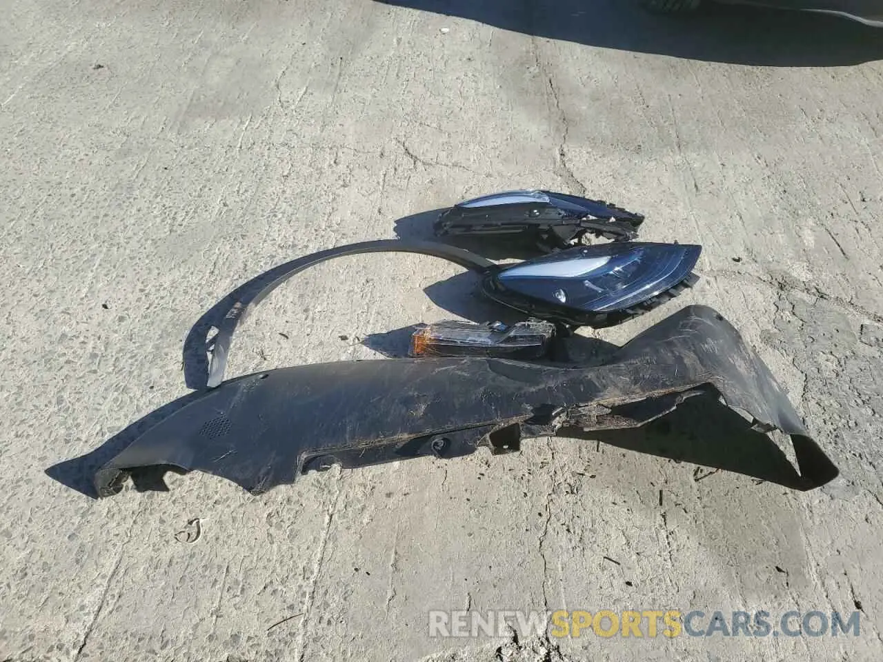 12 Photograph of a damaged car 7SAYGDED1RF187025 TESLA MODEL Y 2024