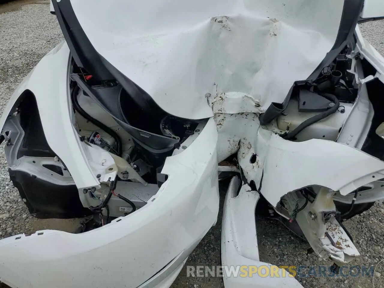 11 Photograph of a damaged car 7SAYGDED2RA301448 TESLA MODEL Y 2024