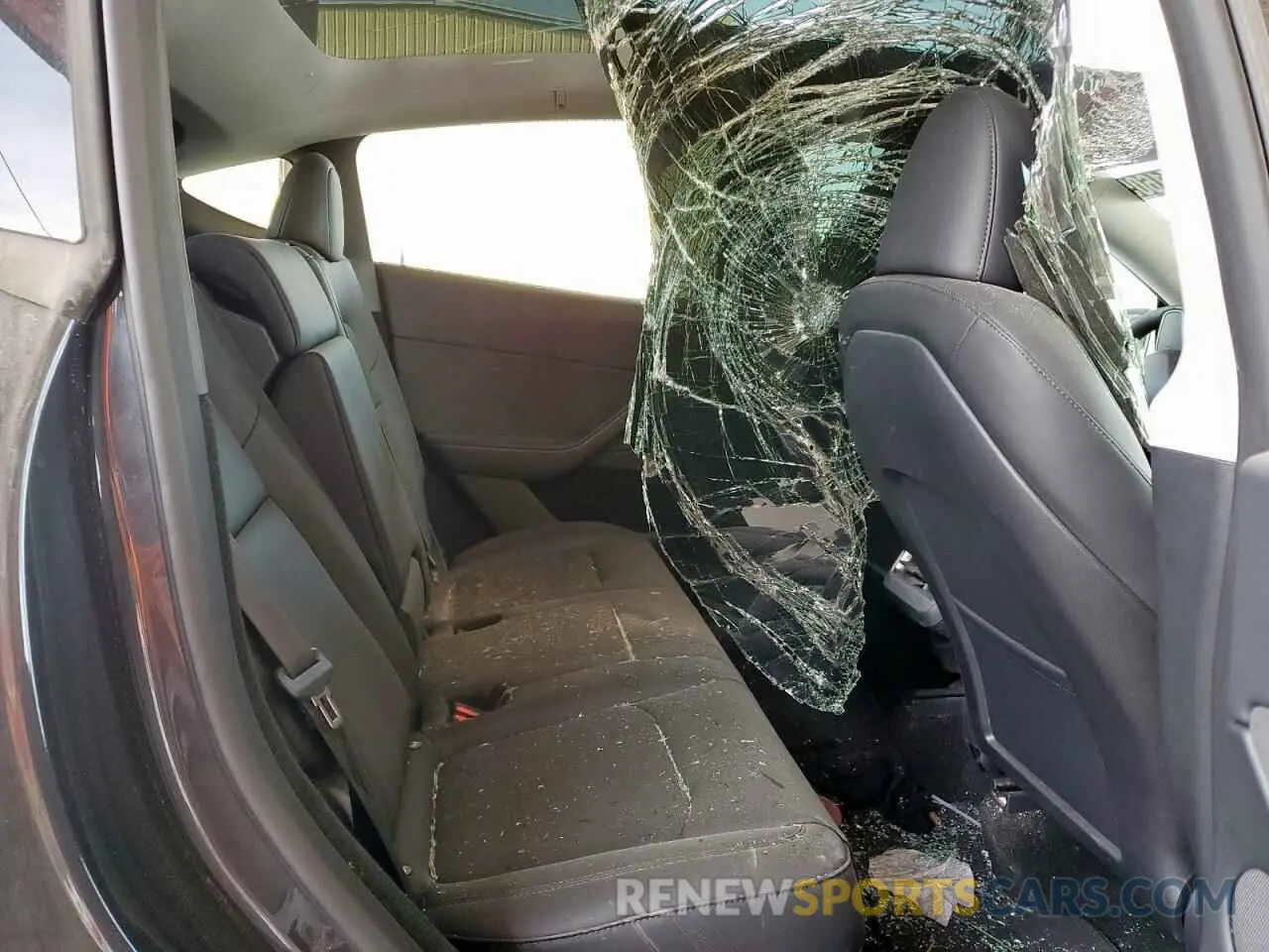 10 Photograph of a damaged car 7SAYGDED2RA304558 TESLA MODEL Y 2024
