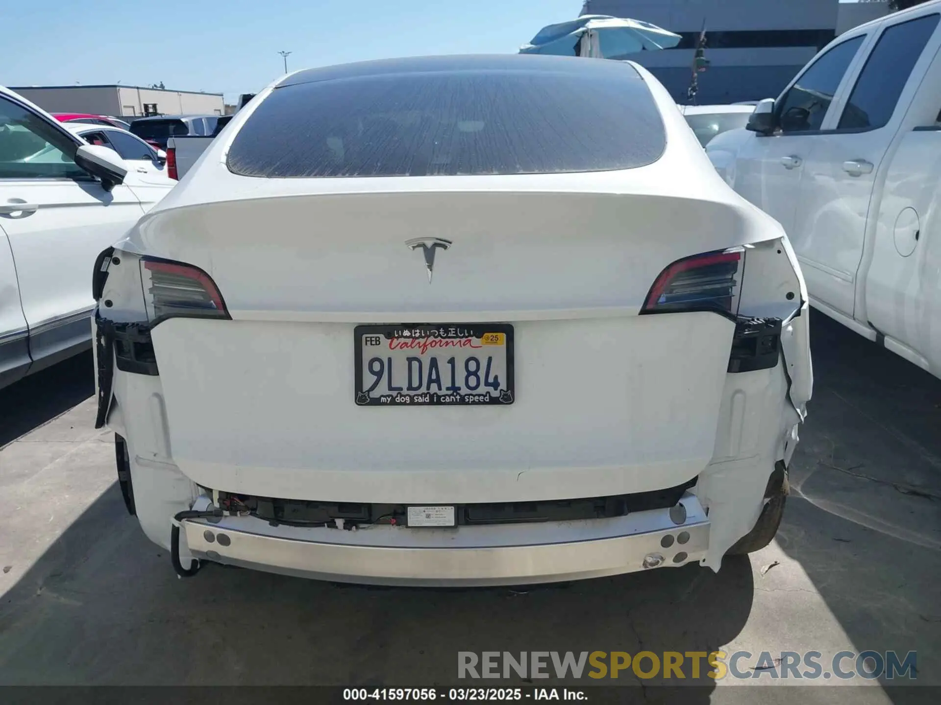16 Photograph of a damaged car 7SAYGDED2RF017448 TESLA MODEL Y 2024