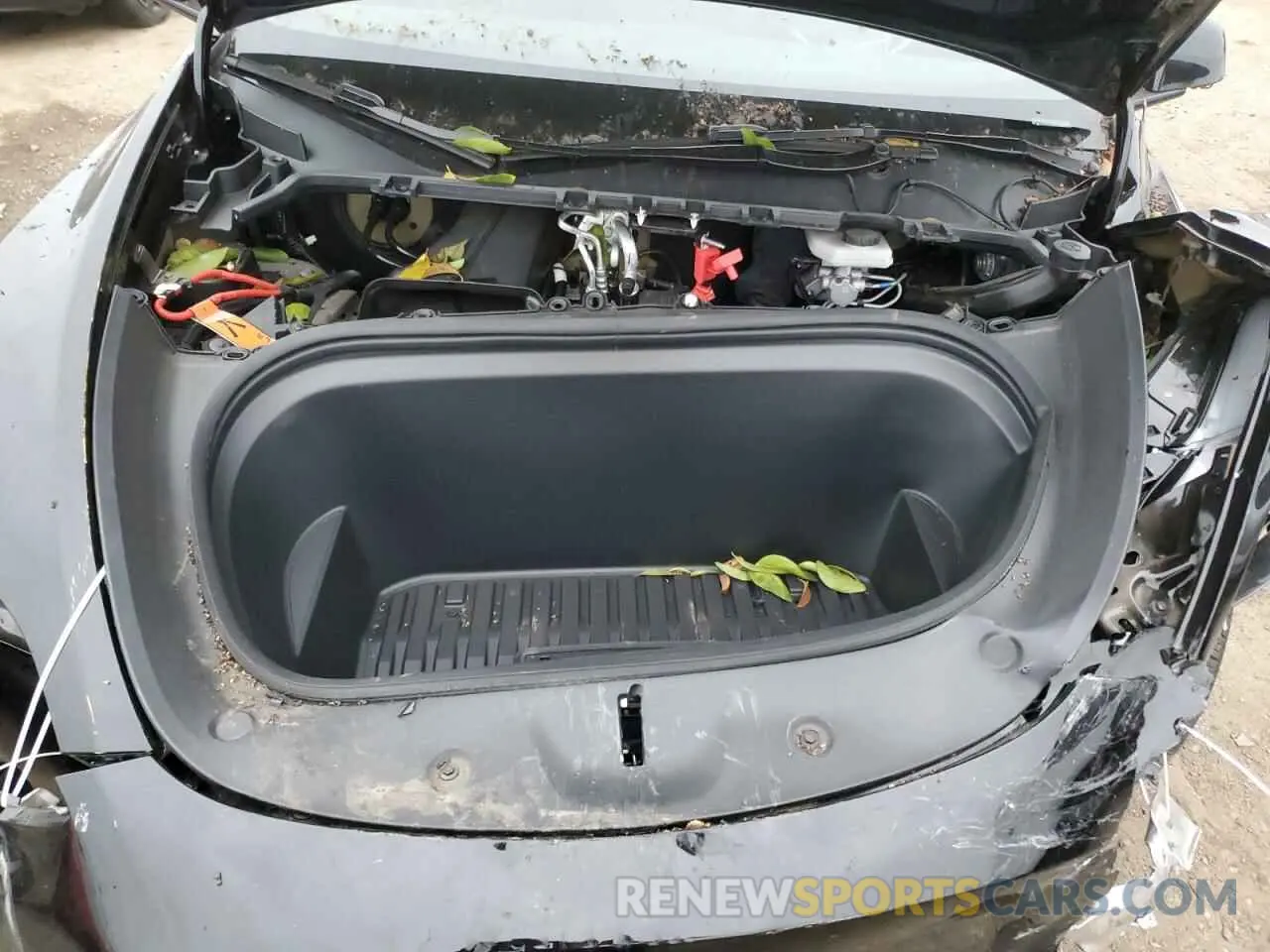 14 Photograph of a damaged car 7SAYGDED2RF028899 TESLA MODEL Y 2024