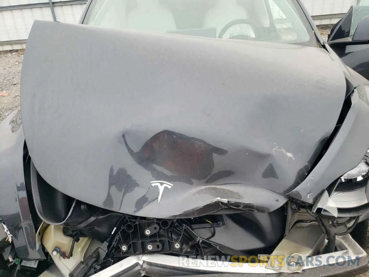 12 Photograph of a damaged car 7SAYGDED2RF037005 TESLA MODEL Y 2024