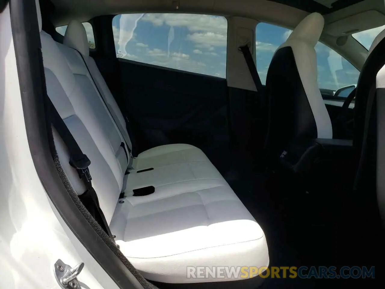 11 Photograph of a damaged car 7SAYGDED2RF164790 TESLA MODEL Y 2024