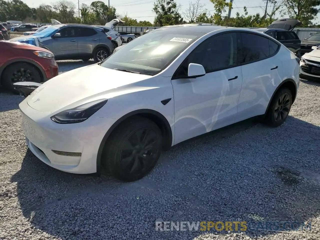 1 Photograph of a damaged car 7SAYGDED3RF131376 TESLA MODEL Y 2024