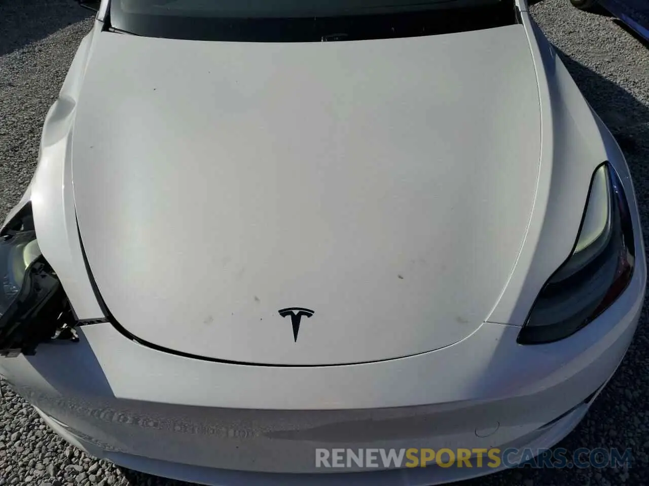 12 Photograph of a damaged car 7SAYGDED3RF131376 TESLA MODEL Y 2024